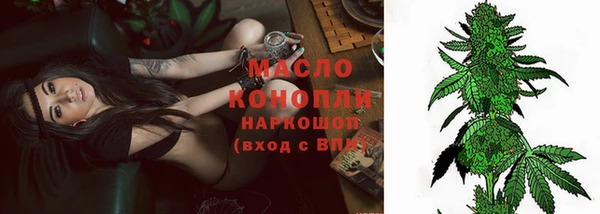 амф Каменногорск