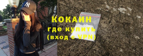 PSILOCYBIN Каменск-Шахтинский