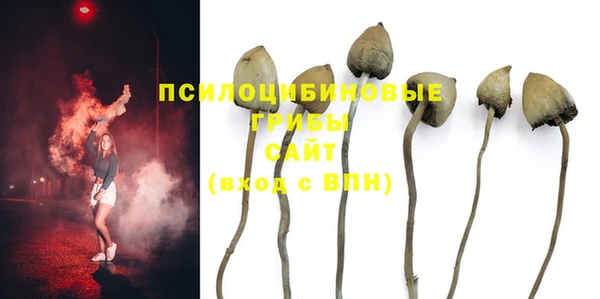 каннабис Каменка