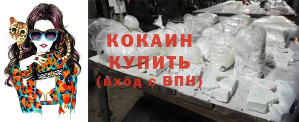 амф Каменногорск